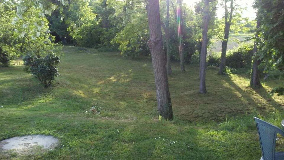 Property building, Garden
