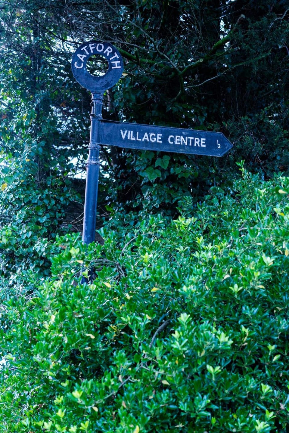 Property logo or sign, Natural landscape, Logo/Certificate/Sign, Street view