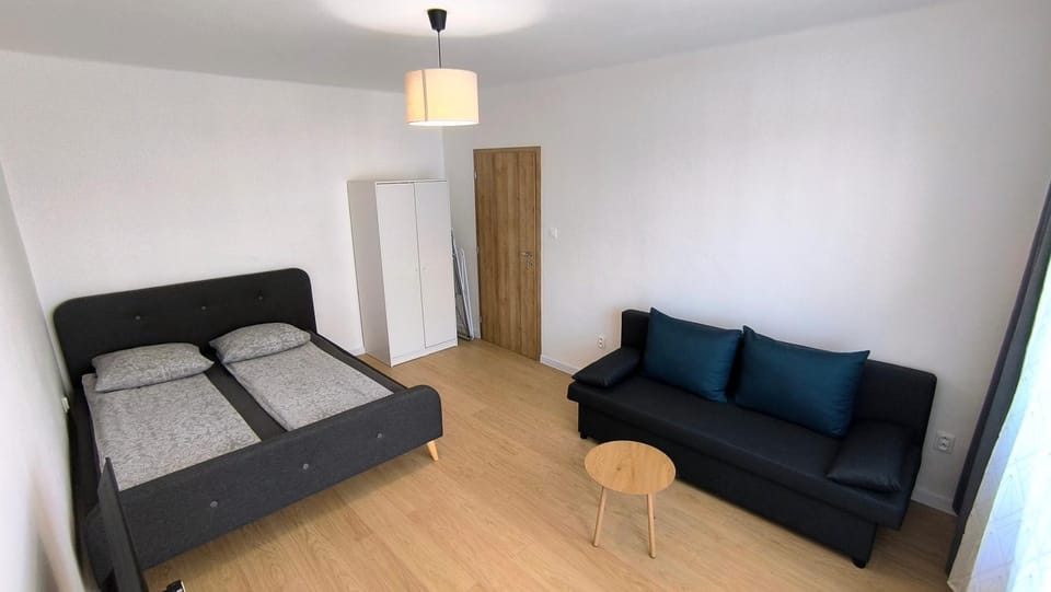 Bed, Living room, Photo of the whole room, Bedroom