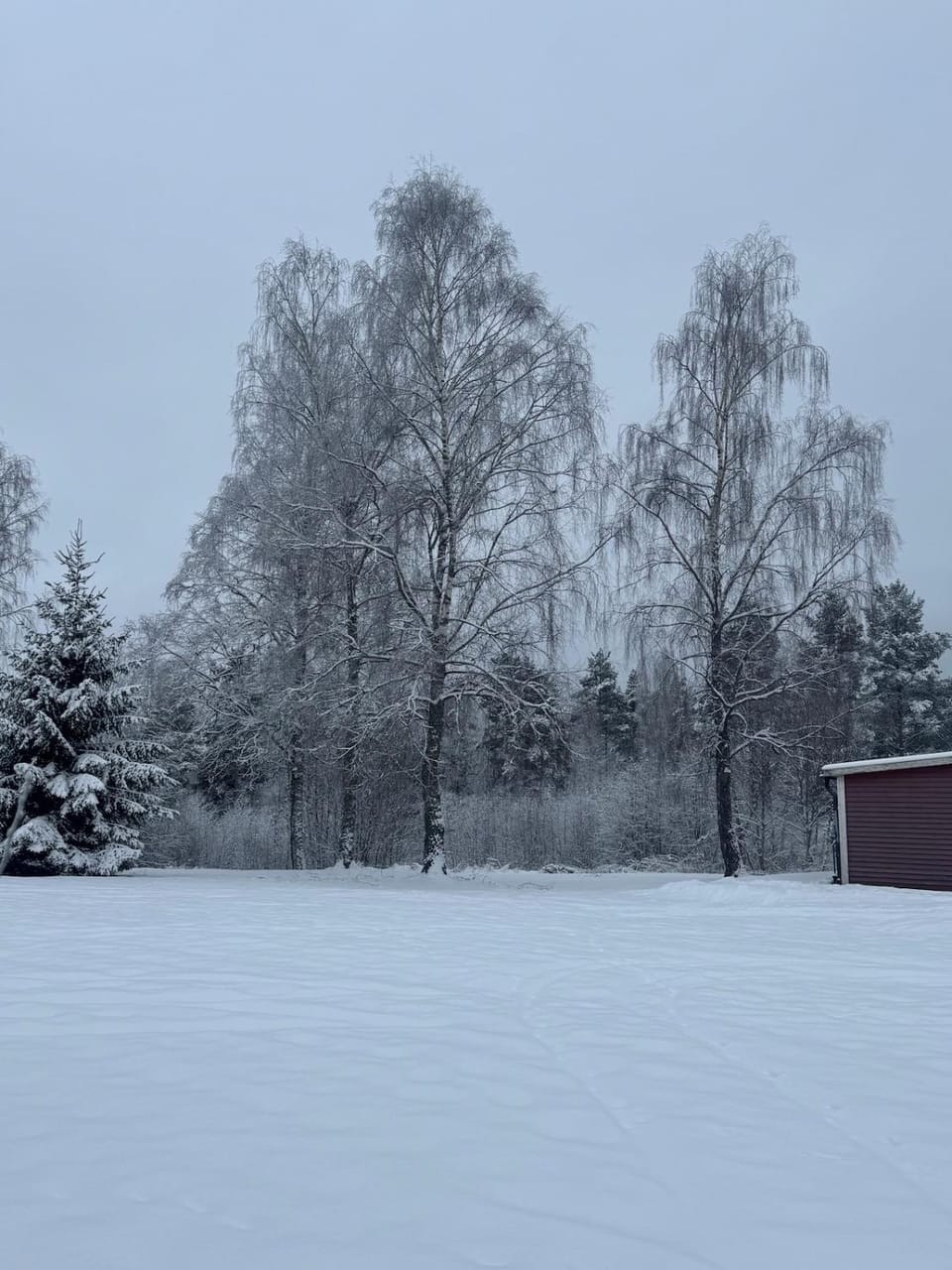 Natural landscape, Winter