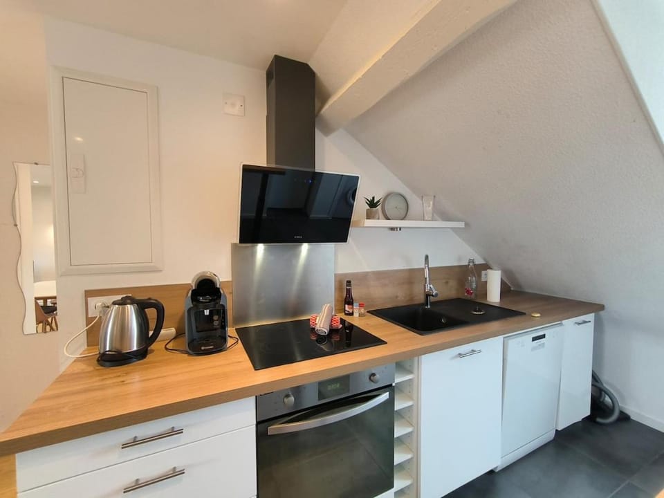 Coeur de ville-Appt 3 chambres-6 pers Apartment in Pau