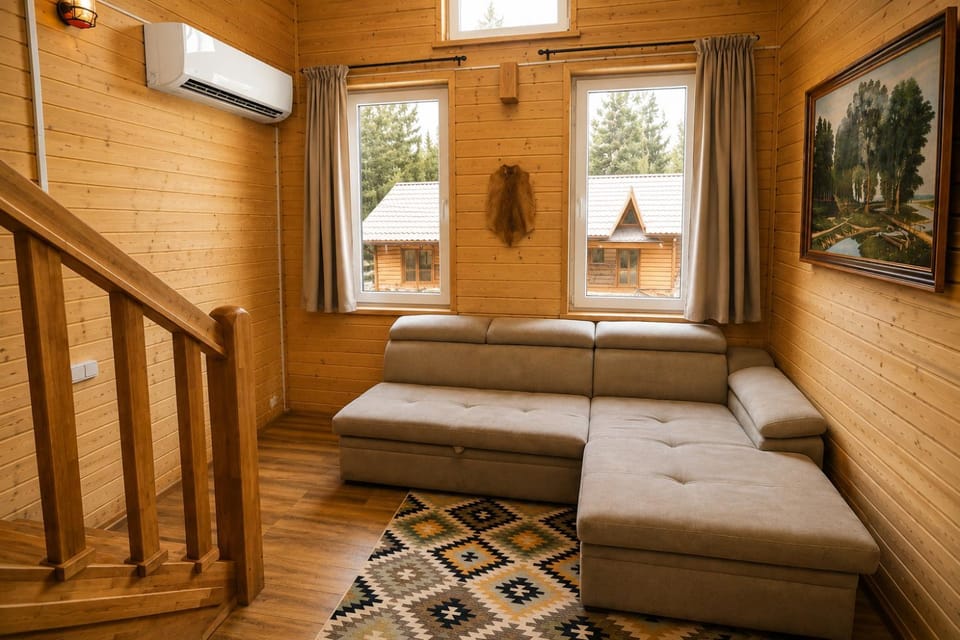 Living room, Mountain view, air conditioner