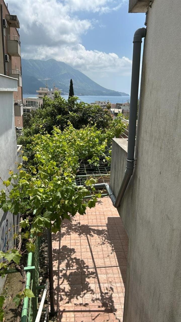 Casa Verde Apartment in Budva Municipality