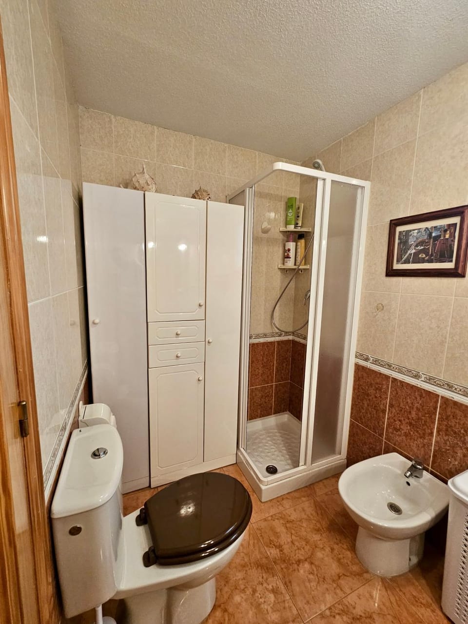 Shower, Toilet, Bathroom, bidet