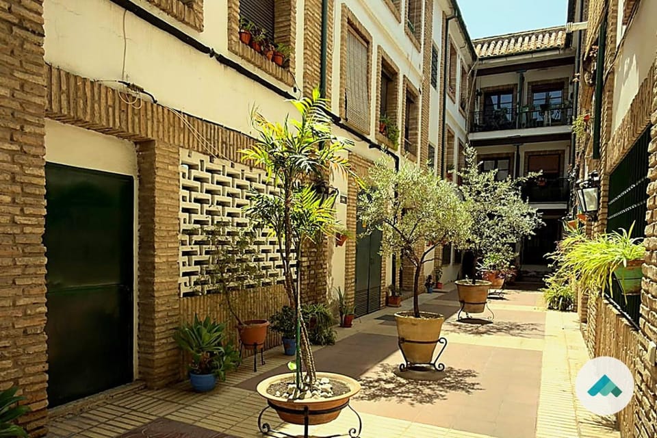 Property building, Patio, Day, Garden, Garden view