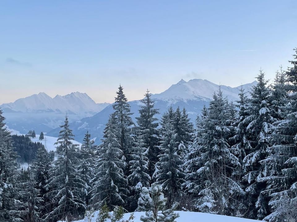 Mountain view