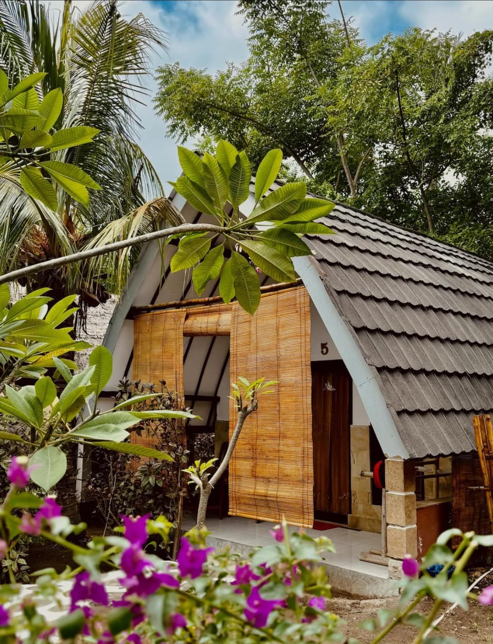 Property building, Day, Garden