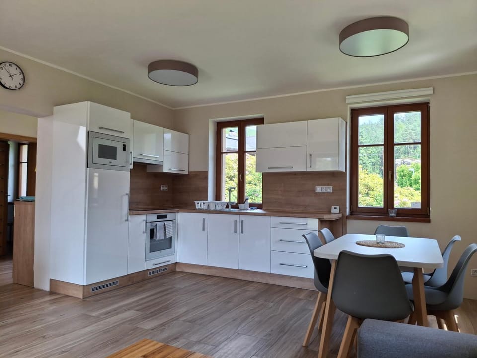 Kitchen or kitchenette, kitchen