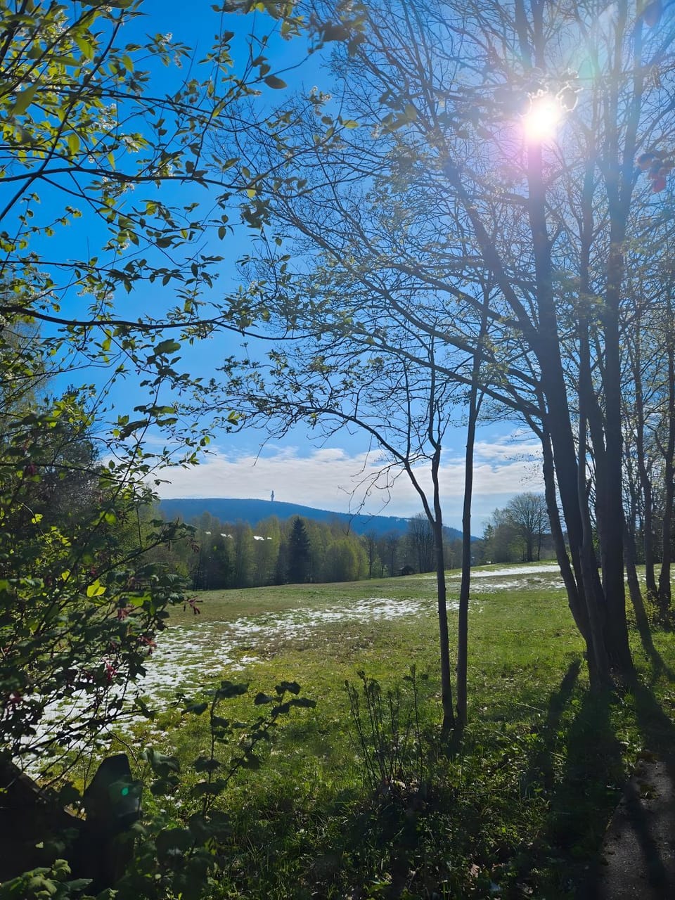 Auszeit zwischen Fellnasen Apartment in Bavaria