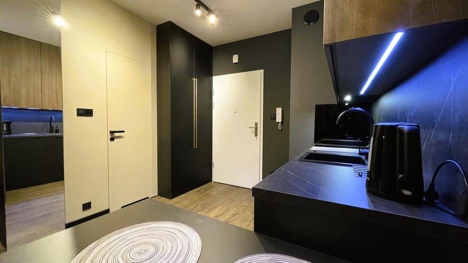 Kitchen or kitchenette, oven, stove, wardrobe