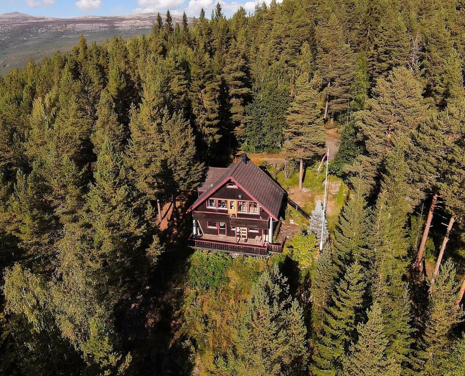 Property building, Spring, Off site, Bird's eye view, Summer