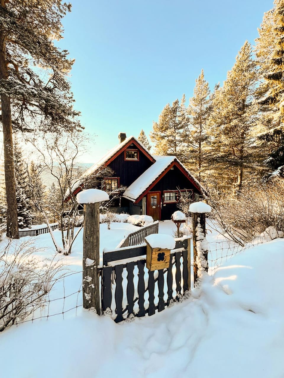 Property building, Winter
