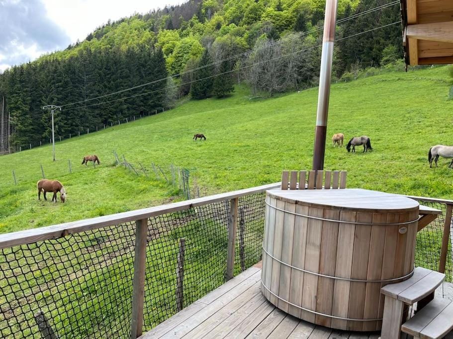 Cabane Insolite de la Semine Chalet in Haute-Savoie