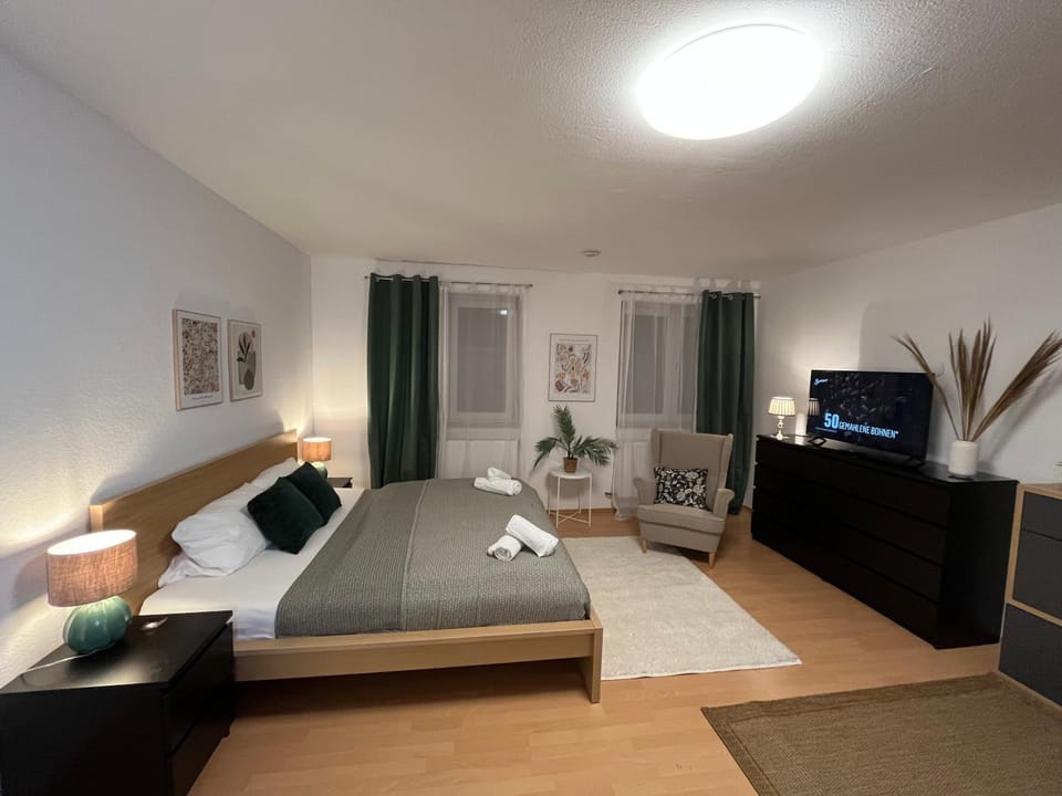 Koblenz Studio City Apartment Apartment in Koblenz