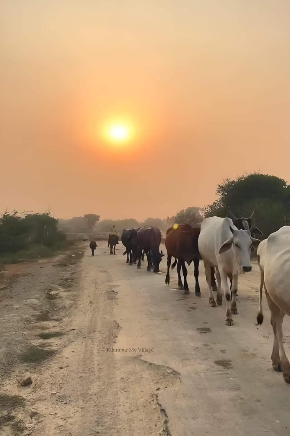 Narmada Home Stay Vacation rental in India