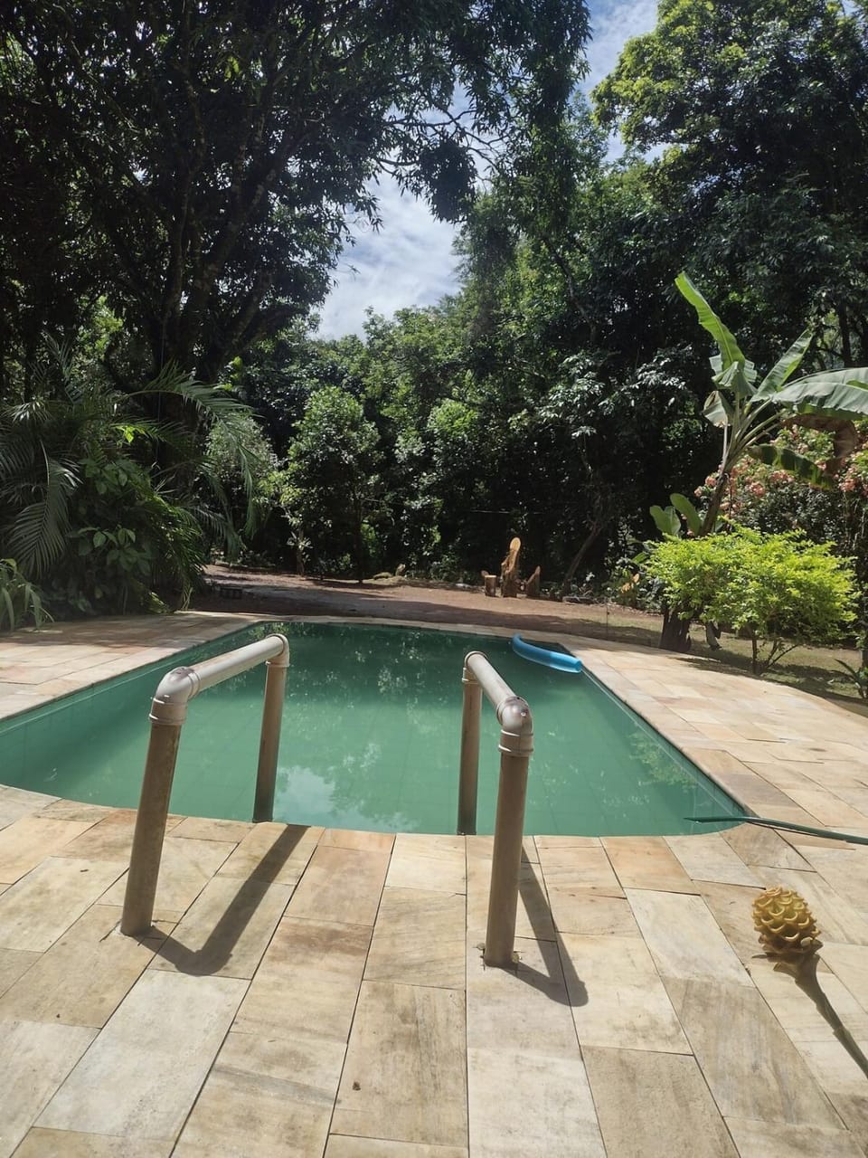 Garden, Swimming pool