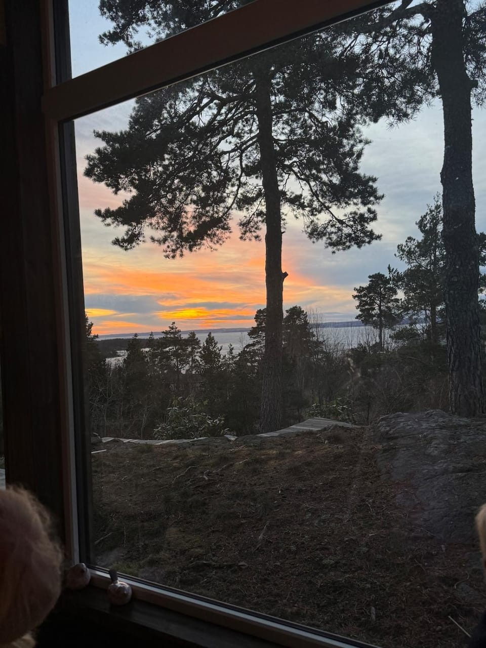 Idyllic cottage on Jeløy - The pearl of the Oslofjord House in Viken, Norway
