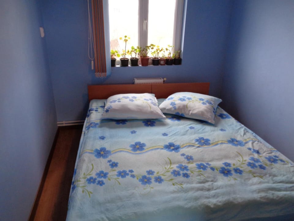 Gasthaus Enduro Bica Bed and Breakfast in Timiș County