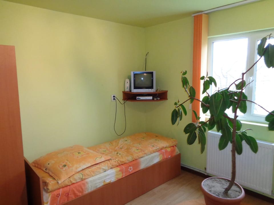 Gasthaus Enduro Bica Bed and Breakfast in Timiș County