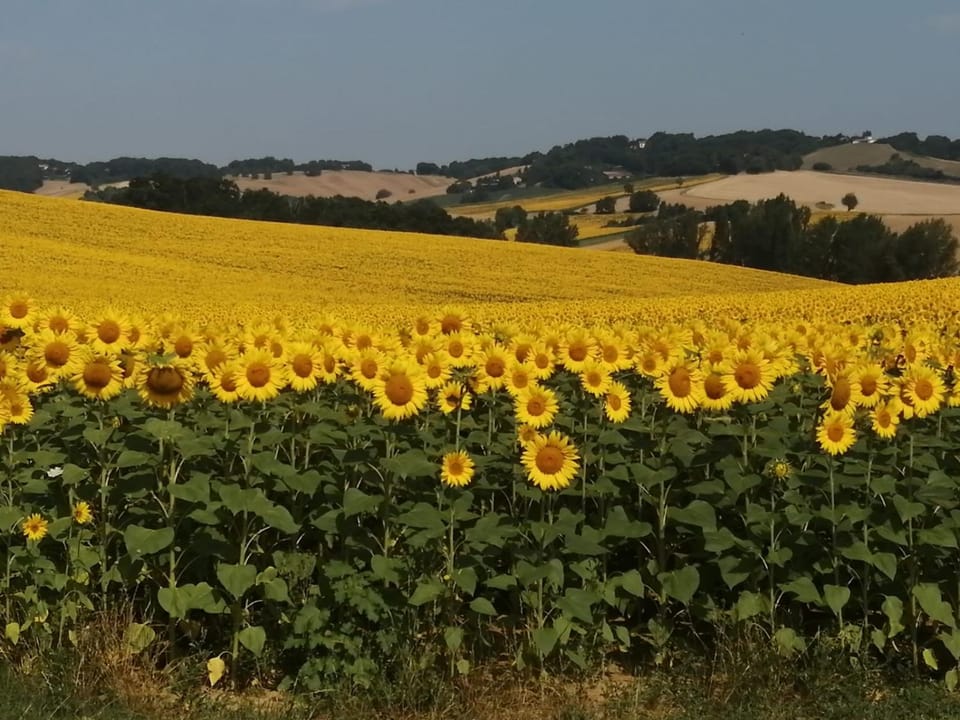 Natural landscape