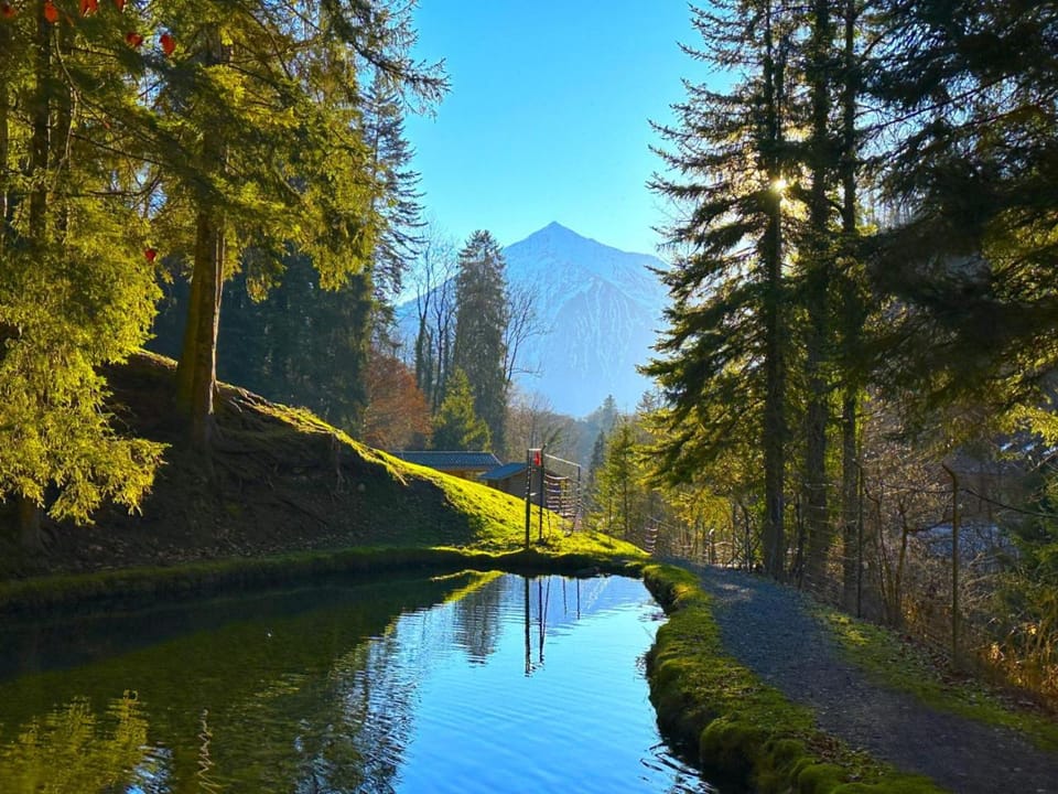 Idyllic Farm Cabin with Scenic Views and Concierge by SwissHut Cabin in Canton of Bern (Region)