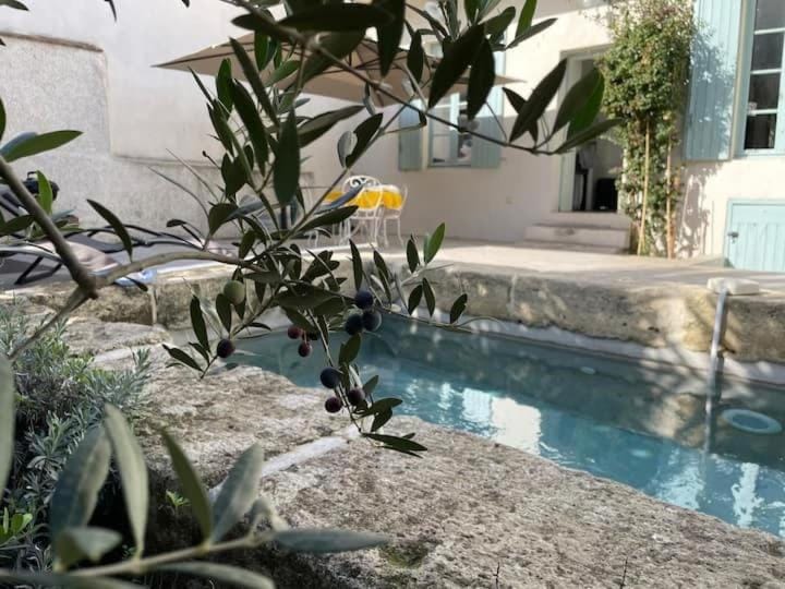 La Provence centre ville, piscine, jardin, terrasse Apartment in Nimes