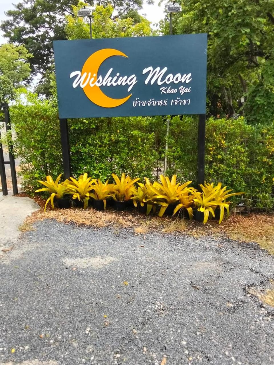 Logo/Certificate/Sign