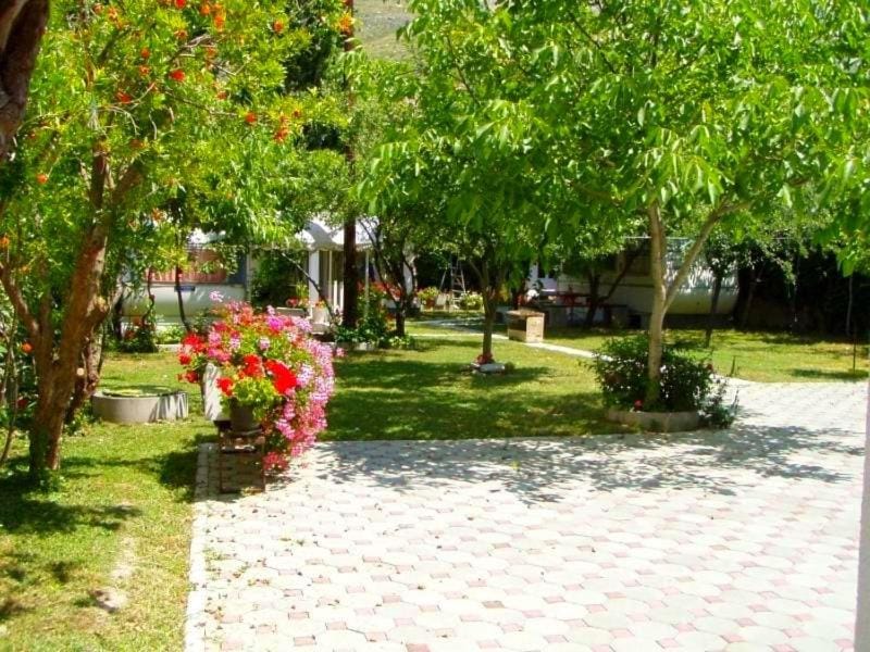 Natural landscape, Garden, Garden view