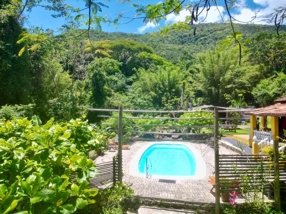 Garden, Swimming pool