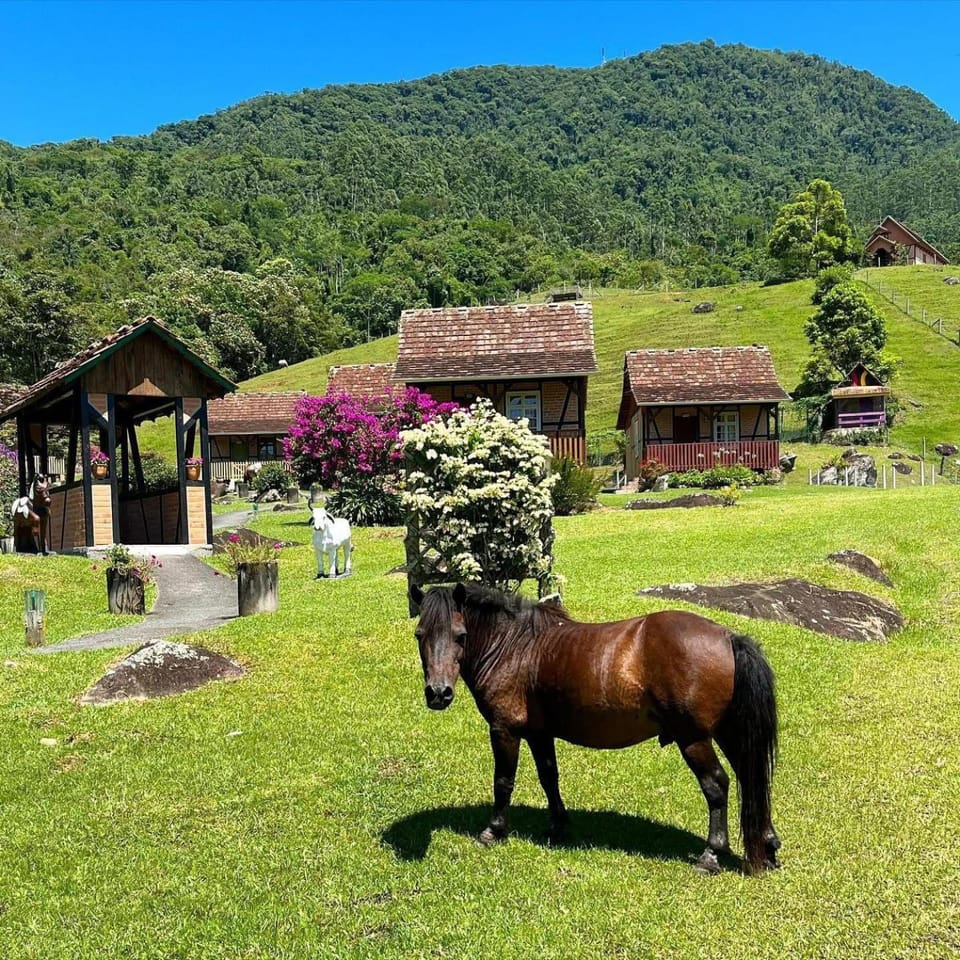 Spring, Day, Natural landscape, Animals, Mountain view