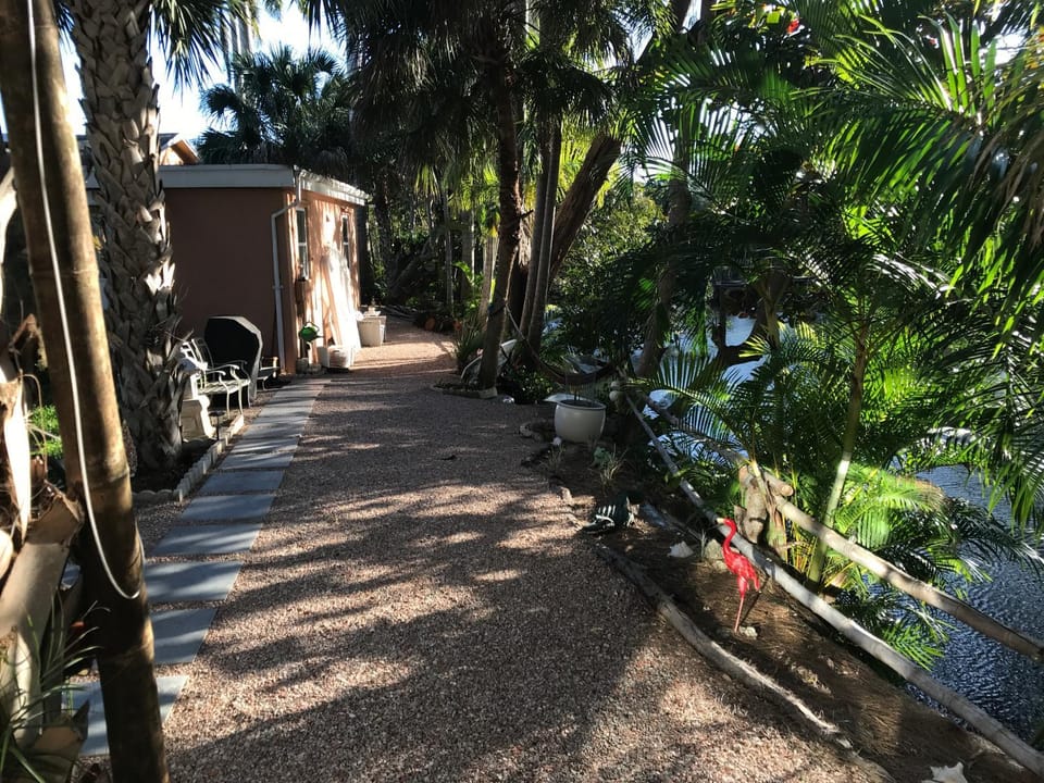 Garden view