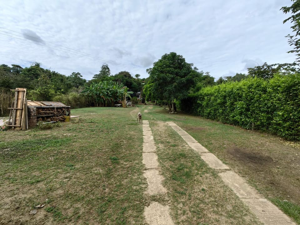 Natural landscape, Garden view