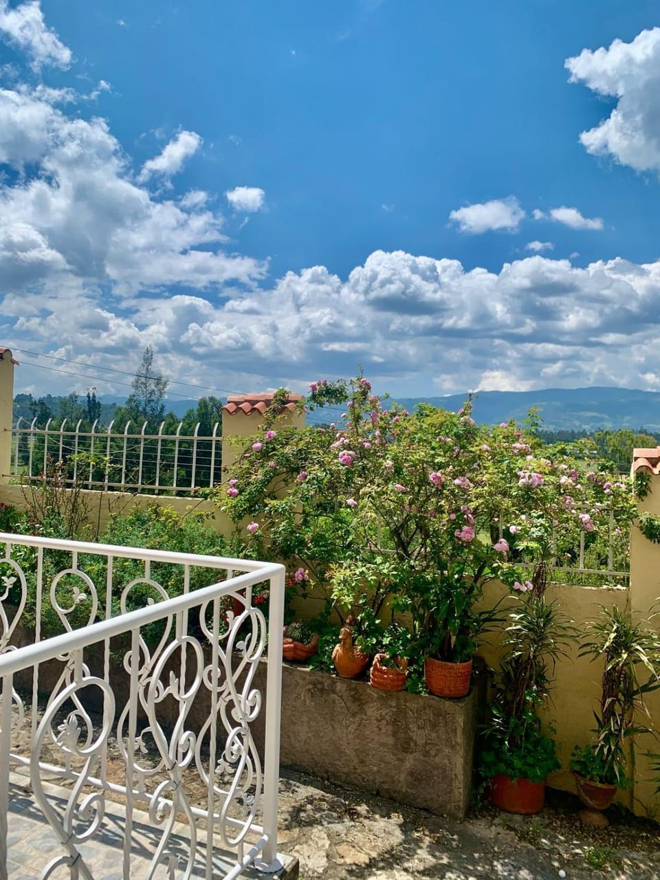 Villa Elena House in Boyaca