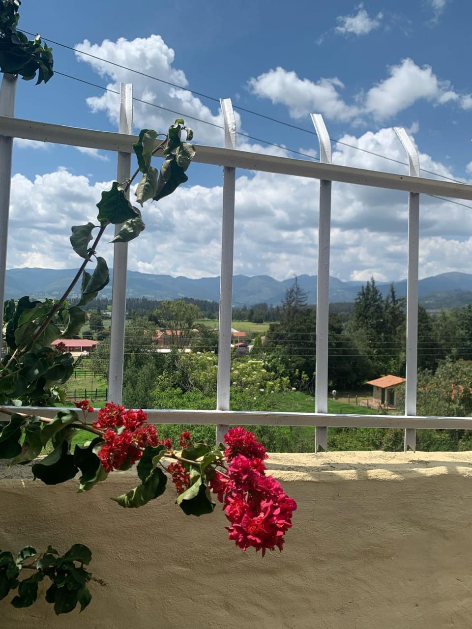 Mountain view