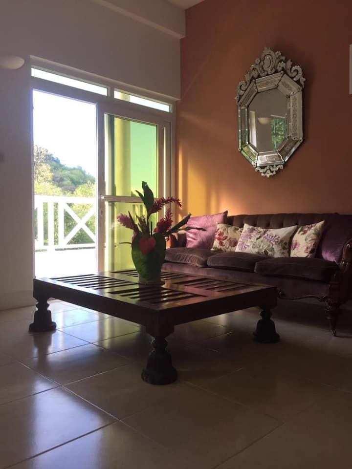 Hillside House & Apartments Apartment in Dominica