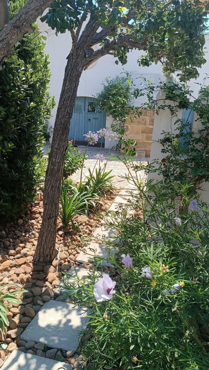 Garden, Garden
