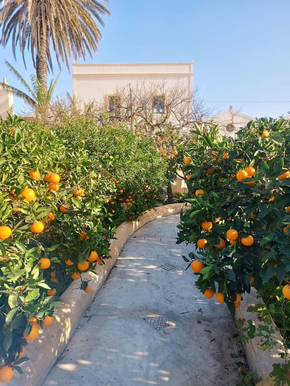 Garden, Garden view