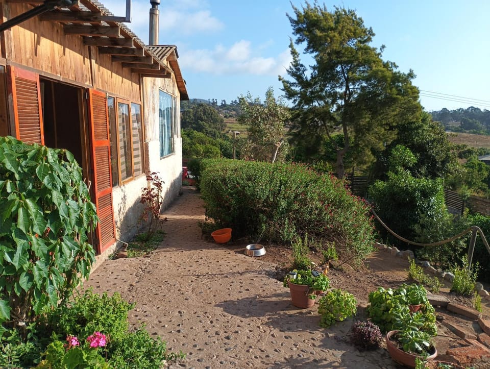 Garden, Balcony/Terrace, Garden view