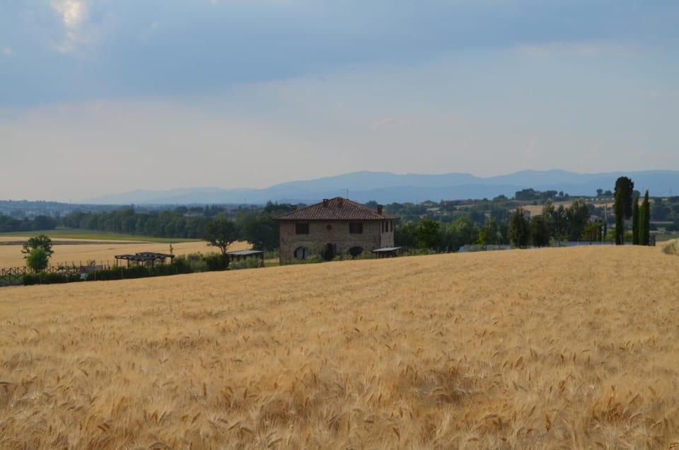 Natural landscape, Street view