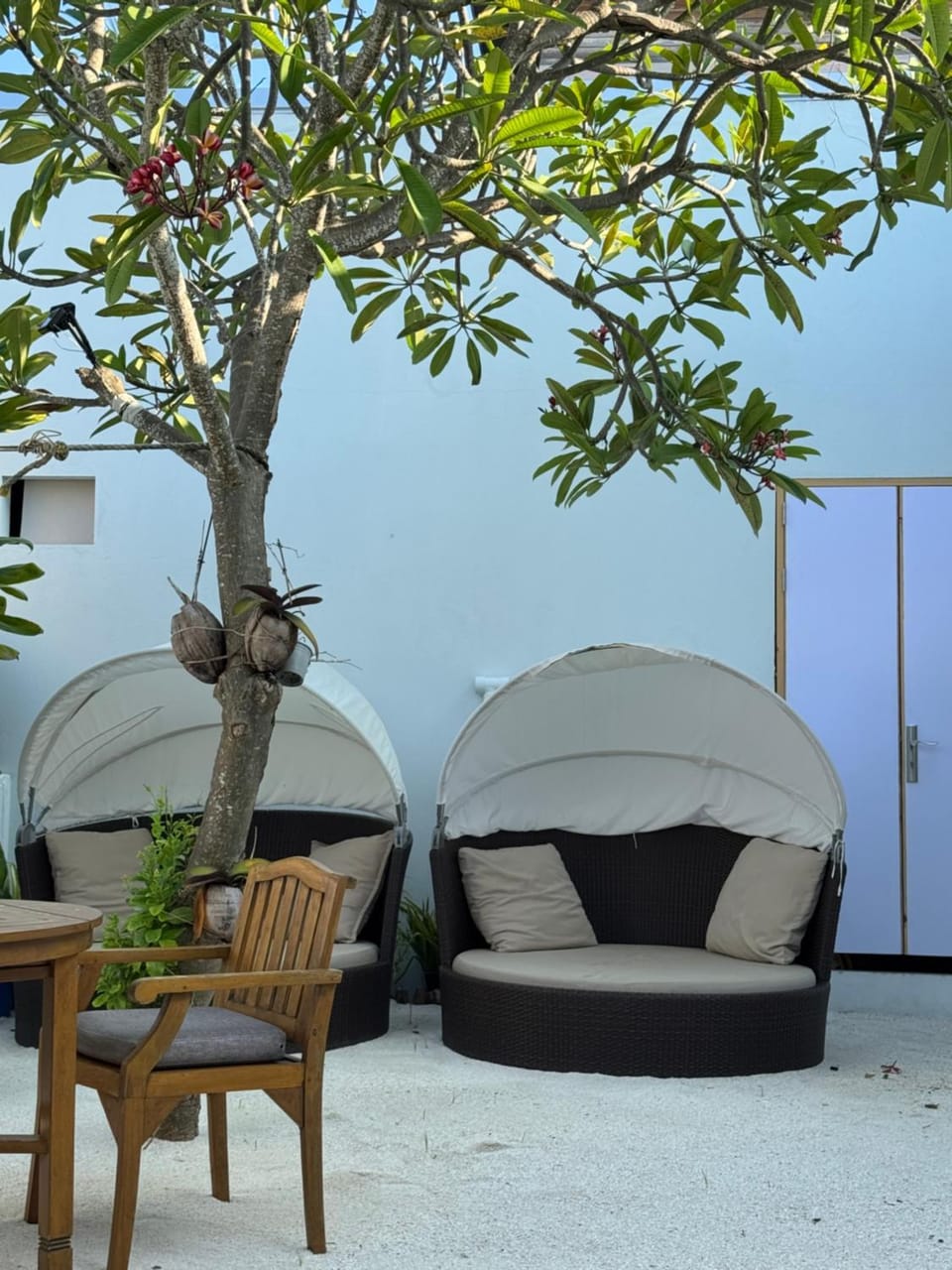 Patio, Inner courtyard view