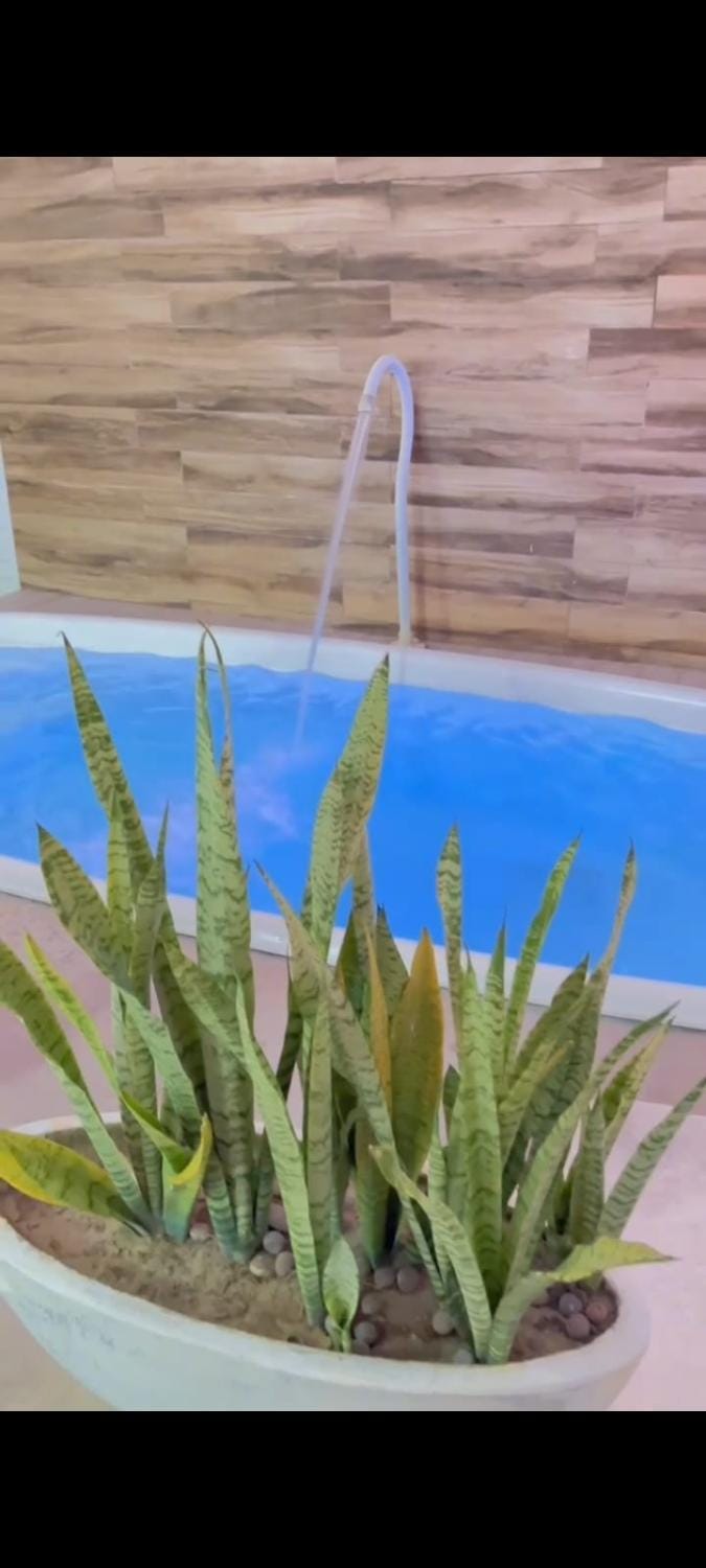 Casa 1 suite 2 quartos-5km from Praia do Frances House in Marechal Deodoro