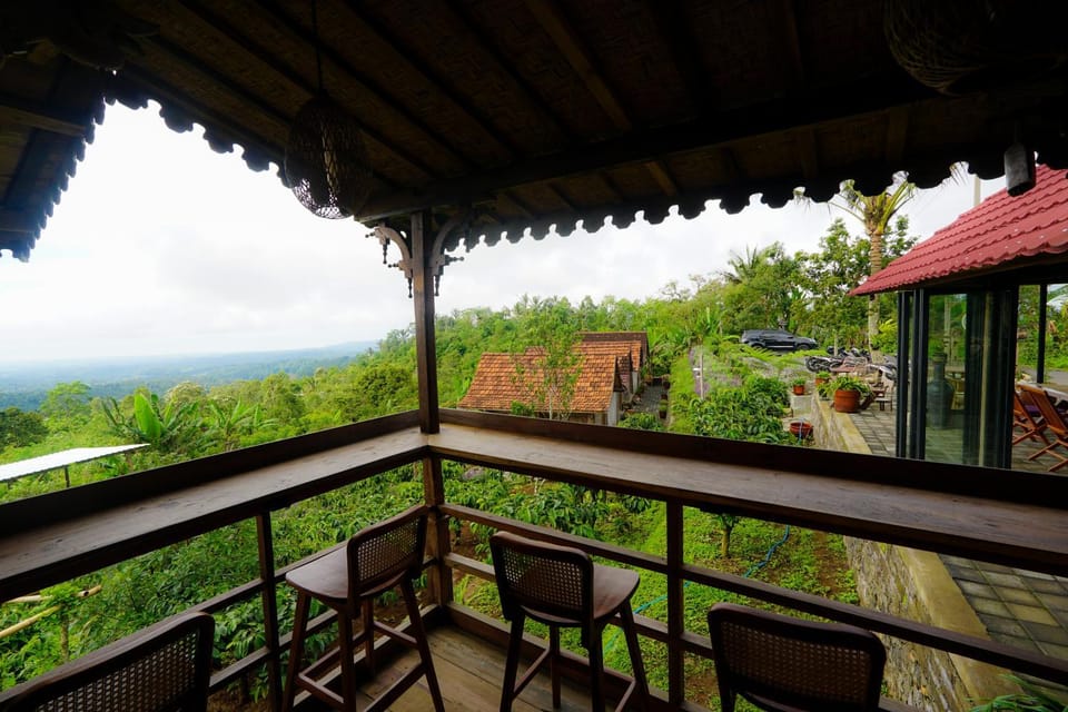View (from property/room)