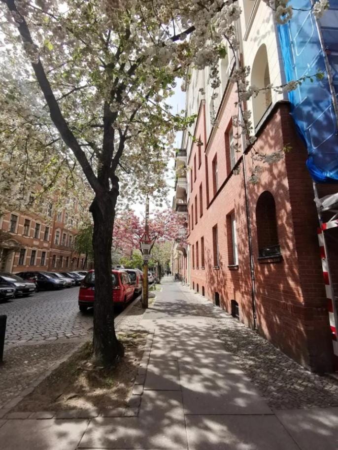 Property building, Spring, Day, Neighbourhood, City view, Street view, Location