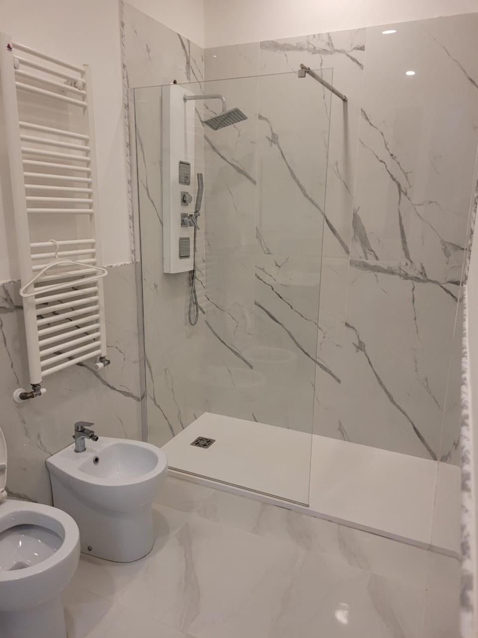 Shower, Toilet, Bathroom, bidet