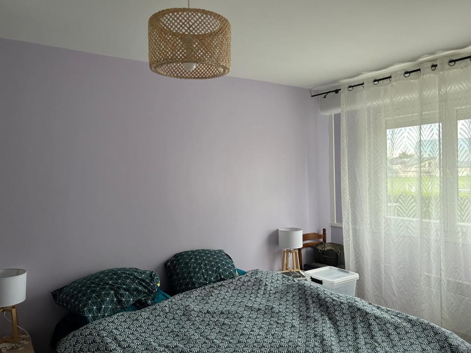 T4 a Ferney Voltaire a 10 mn de Geneve Apartment in Haute-Savoie