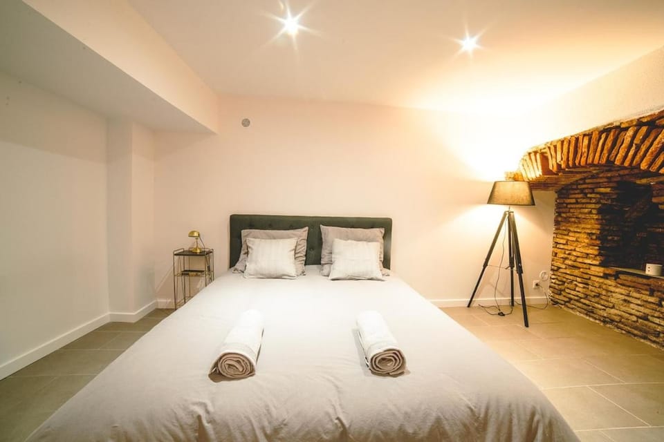 Suite Saint SerninT2 Hypercentre Apartment in Toulouse