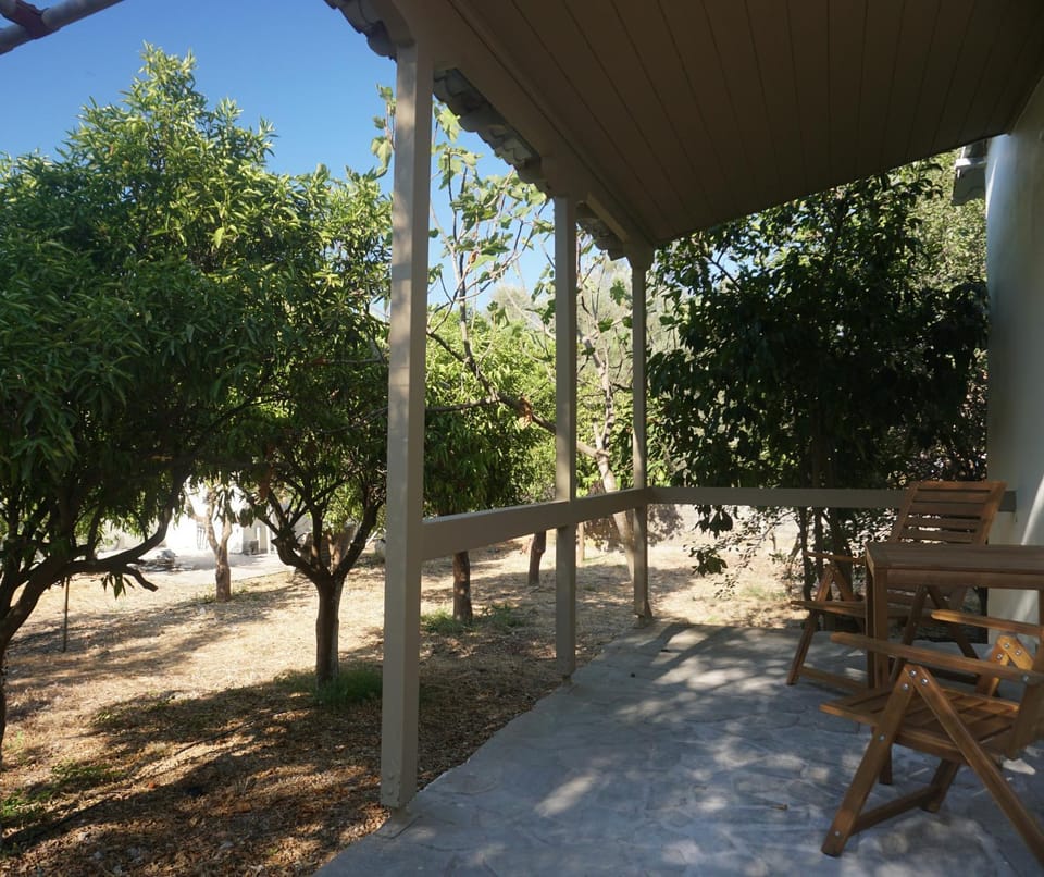 Patio, Day, Garden