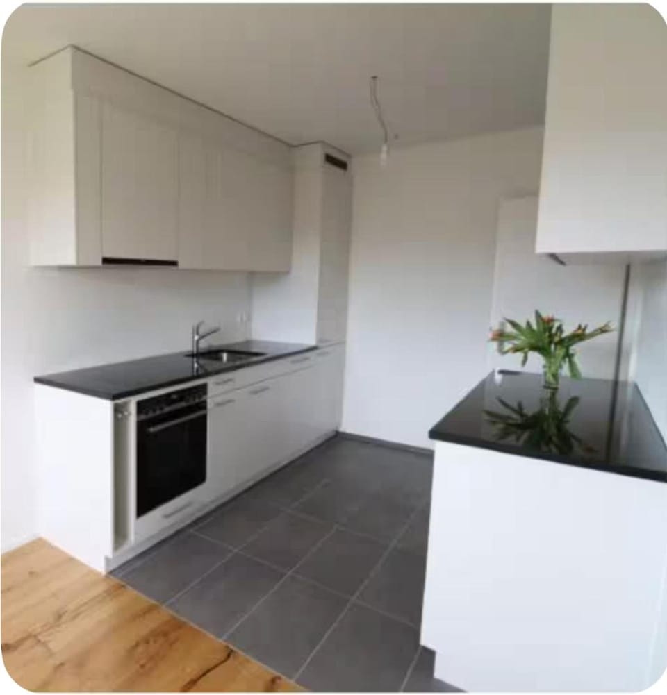 Green Basel Home Apartment in Basel