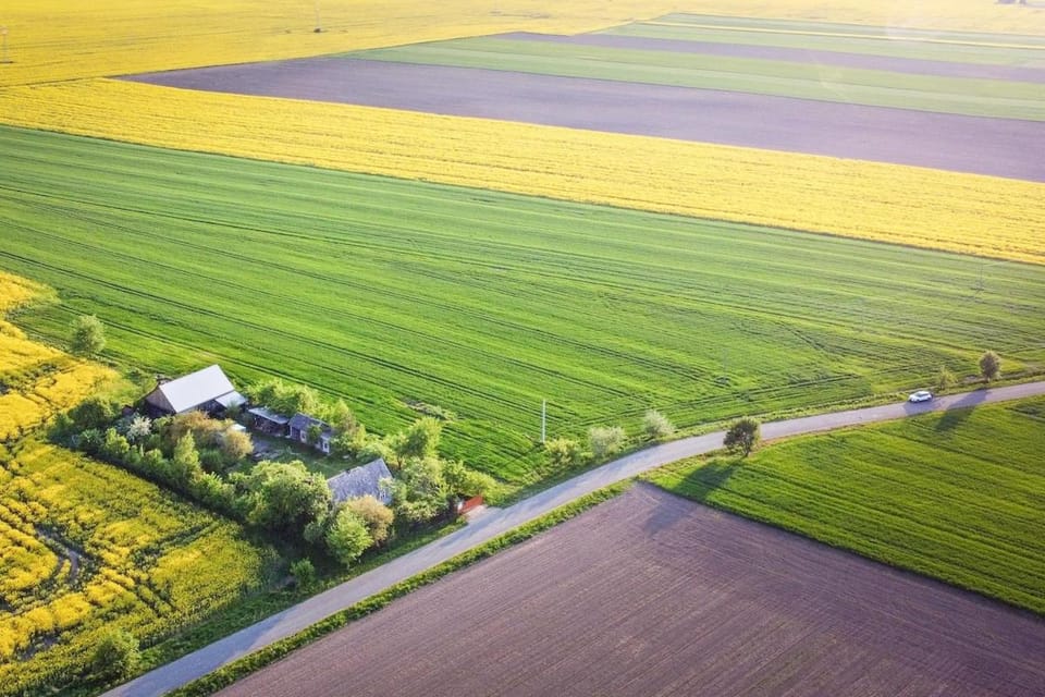 Spring, Day, Neighbourhood, Natural landscape, Bird's eye view