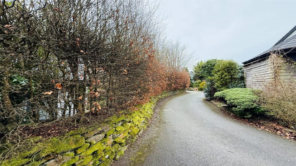 Spring, Day, Neighbourhood, Natural landscape, Garden, Garden view